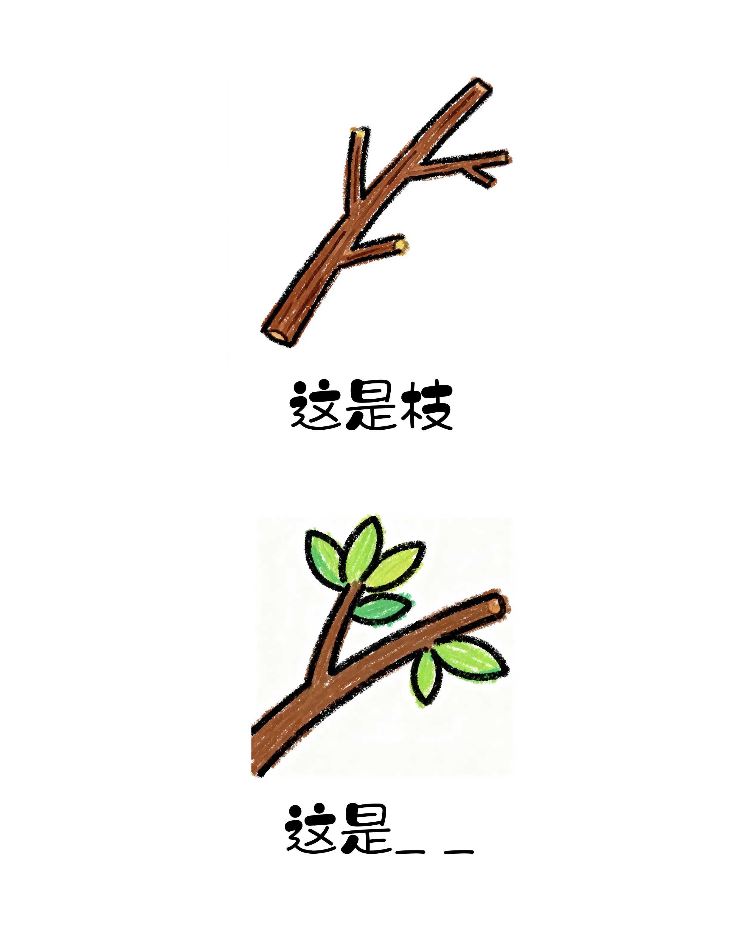 PP电子模拟器(试玩游戏)官方网站