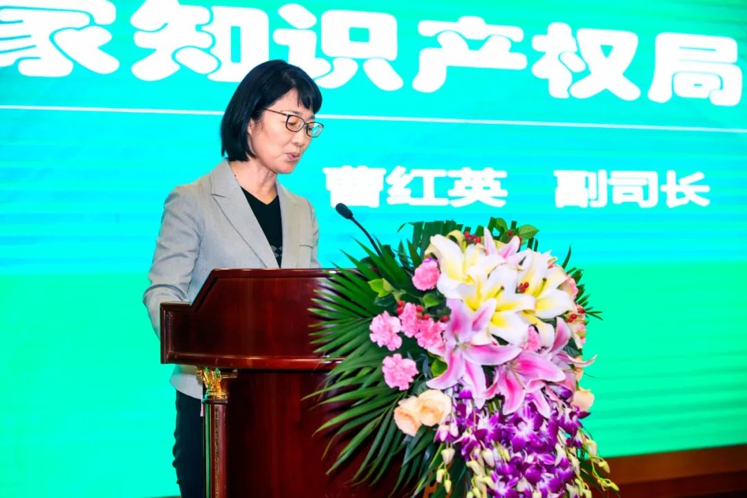 1606449027767417.jpg PP电子模拟器(试玩游戏)官方网站
