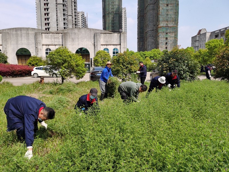 PP电子模拟器(试玩游戏)官方网站