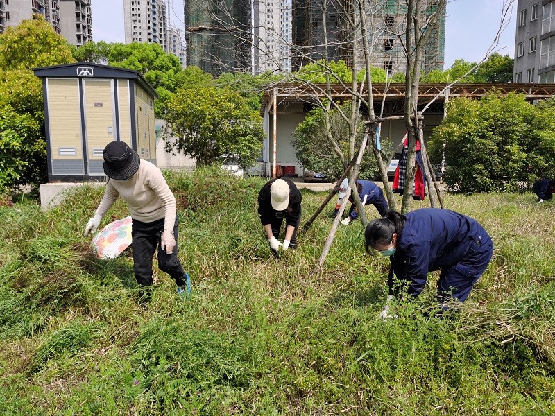 PP电子模拟器(试玩游戏)官方网站